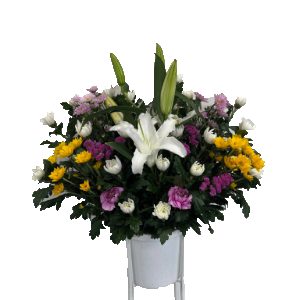 生花